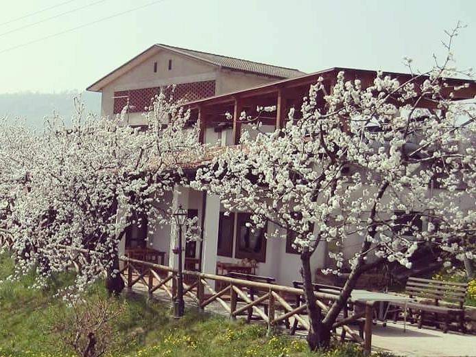 Agriturismo Al Ciliegio Villa Marostica Luaran gambar